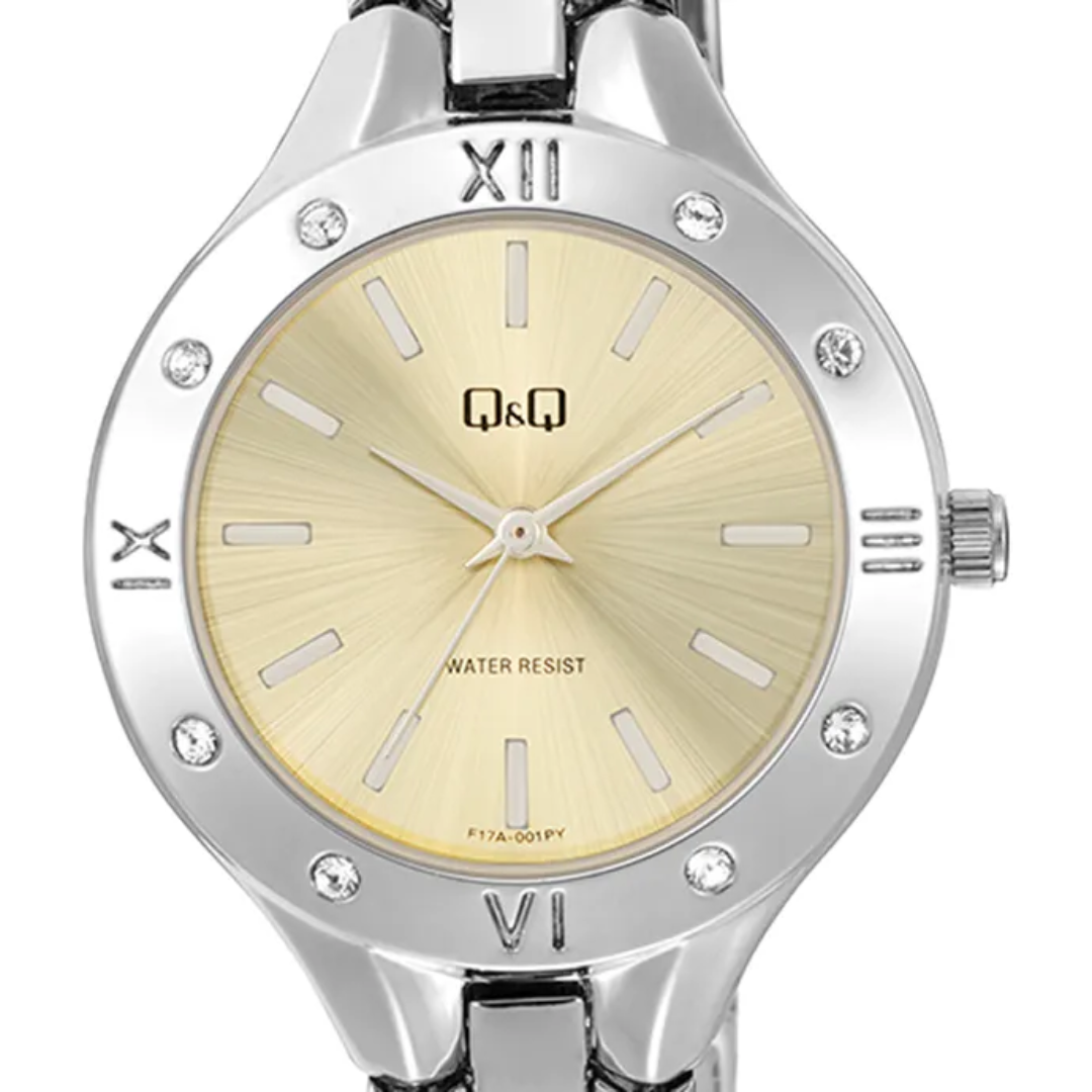 Reloj Vienna Q&Q