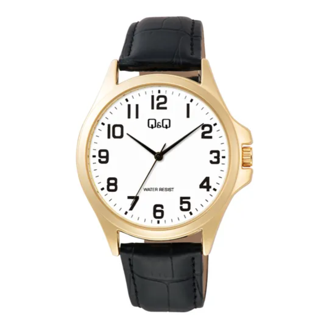 Reloj Newport Gold Q&Q